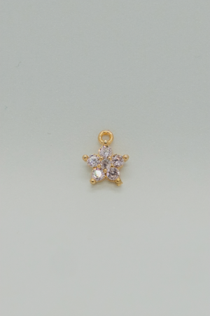 Charm 5 - STR005