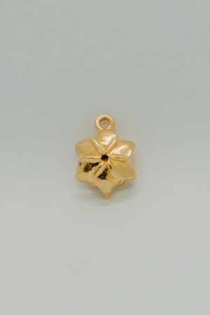 Charm 10 - STR010