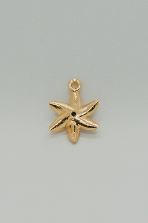 Charm 17 - STR017