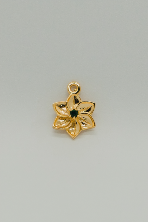 Charm 33 - STR033